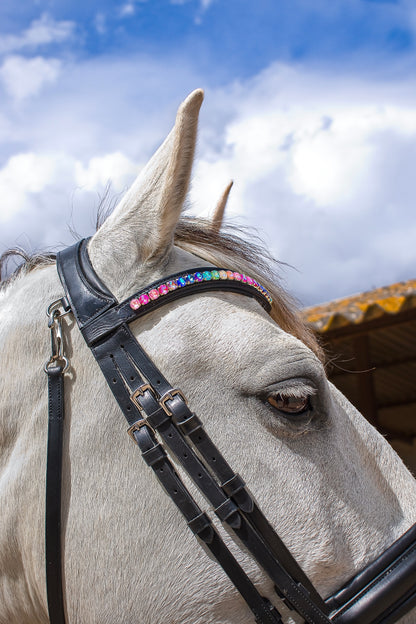 FMH - Browband ‘Rainbow Road’ with Rainbow-Colored Stones