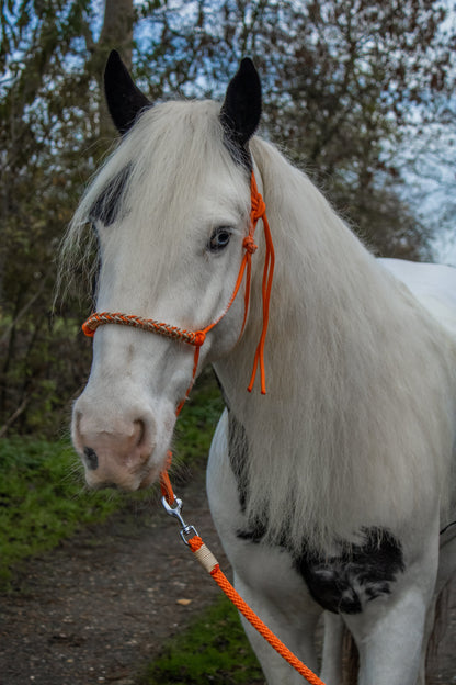 Rope halter with braided noseband orange, gold and caramel