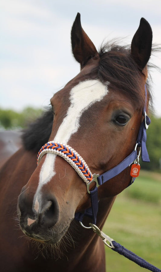 Handgemaakte paardenhalsters - Geknoopt halster ‘Kristy’ donkerblauw/ oranje