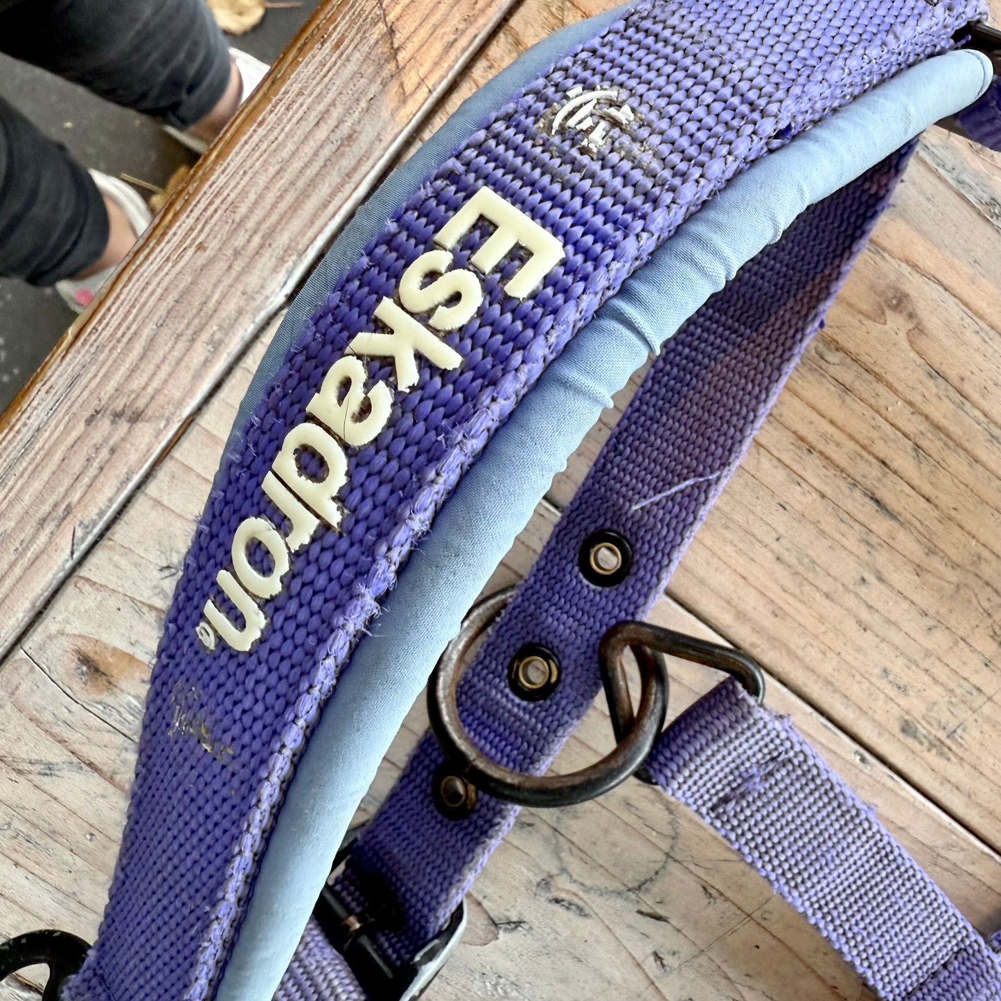 S0013 - 3 Halster en 1 halstertouw, Eskadron en QHP Cob