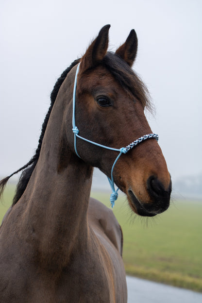 Rope halter with braided noseband baby blue, white and black