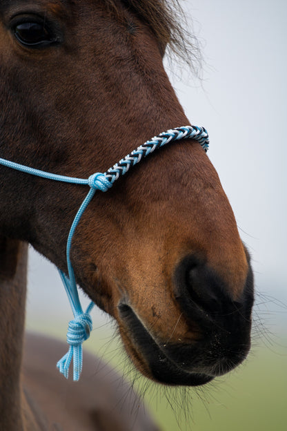 Rope halter with braided noseband baby blue, white and black