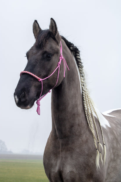 Rope halter with braided noseband baby pink, baby blue and orange