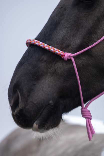Rope halter with braided noseband baby pink, baby blue and orange