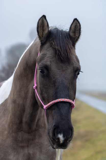 Rope halter with braided noseband baby pink, baby blue and orange