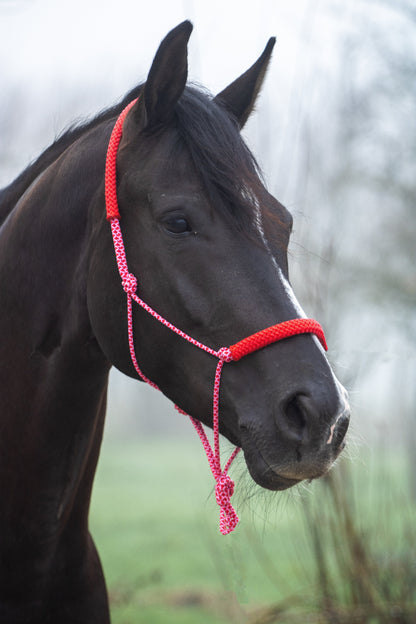 Rope halter baby pink with red