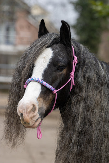Rope halter baby pink with pink mix
