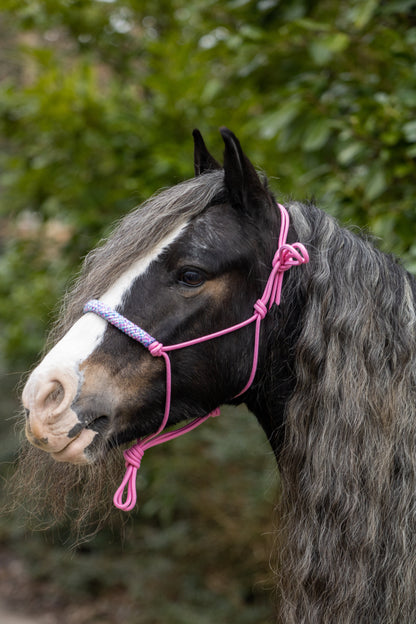 Rope halter baby pink with pink mix
