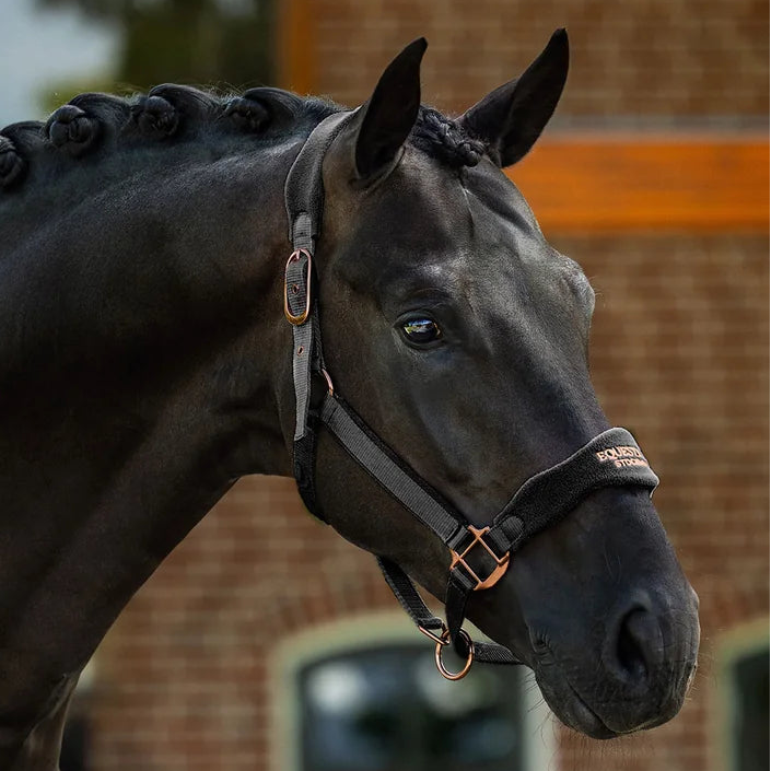 Equestrian Stockholm - FW26 Black Blush - Anatomic Fleece Halter - Ride Against Cancer
