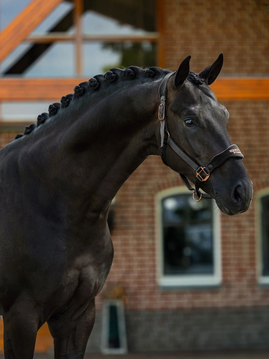 Equestrian Stockholm - FW26 Black Blush - Anatomic Fleece Halter - Ride Against Cancer