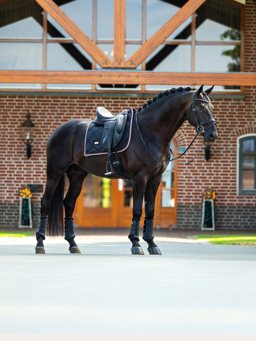 Equestrian Stockholm - FW26 Black Blush  - Dressage Saddle Pad dressuurzadeldek - Ride Against Cancer