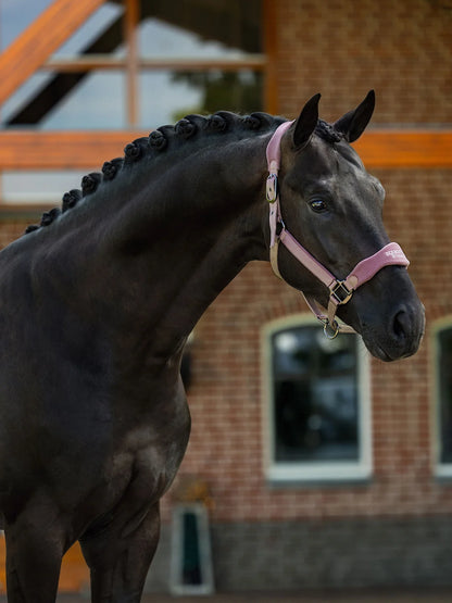 Equestrian Stockholm - FW26 Blush - Anatomic Fleece Halter - Ride Against Cancer