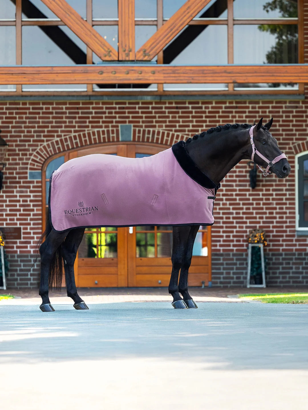 Equestrian Stockholm - FW26 Blush - Anatomic Fleece Halter - Ride Against Cancer