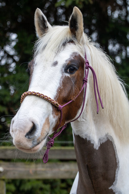 Rope halter with braided noseband burgundy, gold and caramel