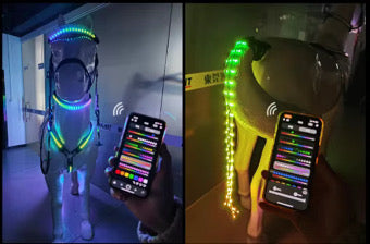 FMH - Luxe LED set voor paarden (borsttuig, frontriem, halsring en staartverlichting) interactief met app