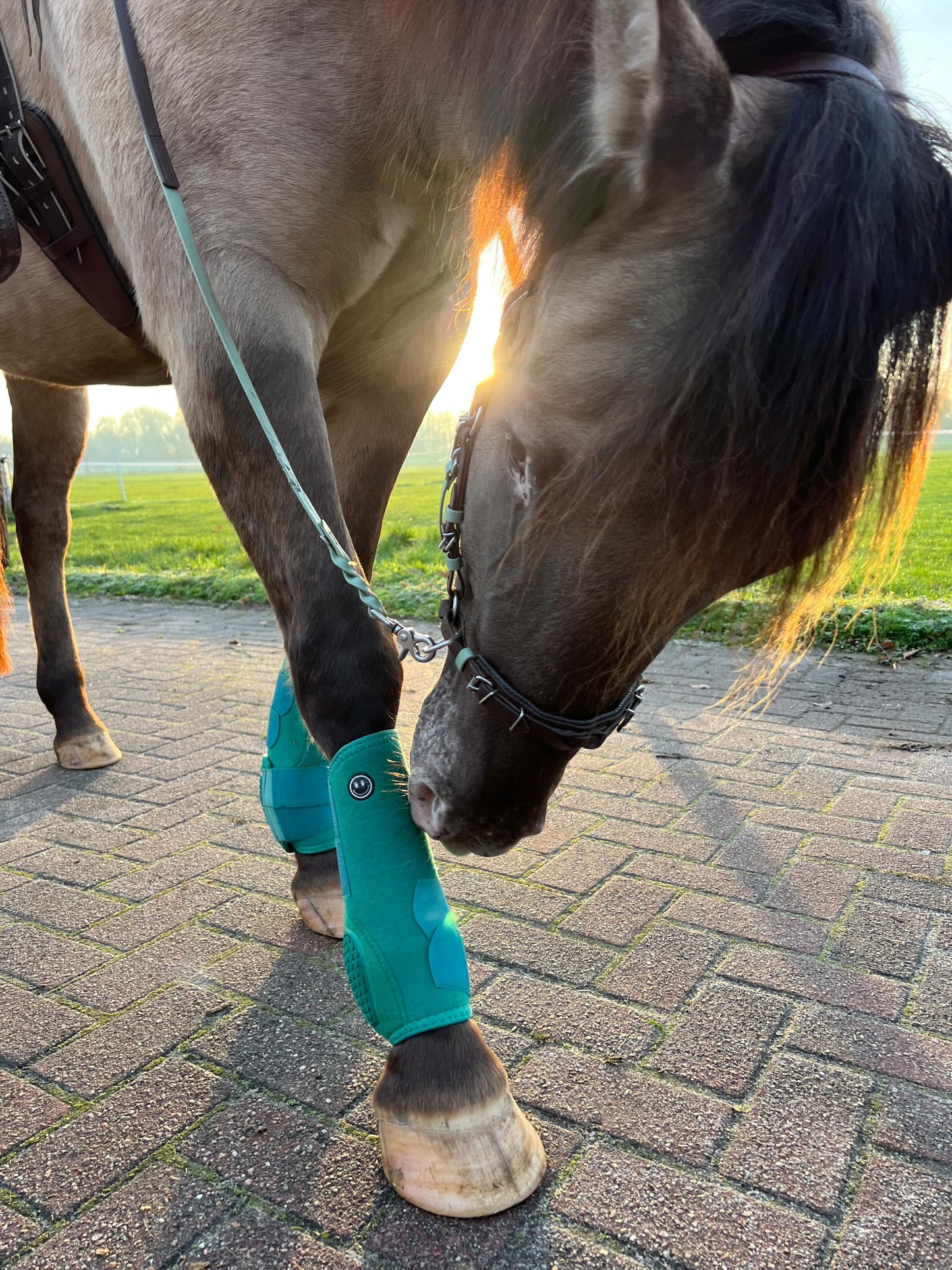 FMH - NeoPro the Solids - Neoprene beenbeschermers boots voor paarden (div. kleuren)