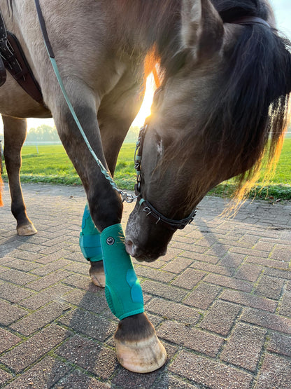 FMH - NeoPro the Solids - Neoprene beenbeschermers boots voor paarden (div. kleuren)