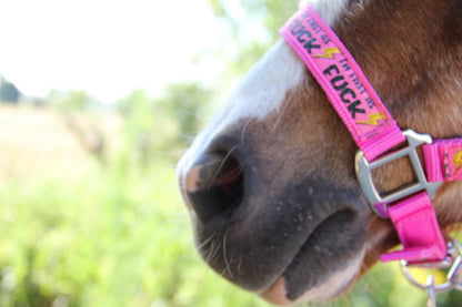 FMH - Nylon roze halster ‘Fast as F*CK’