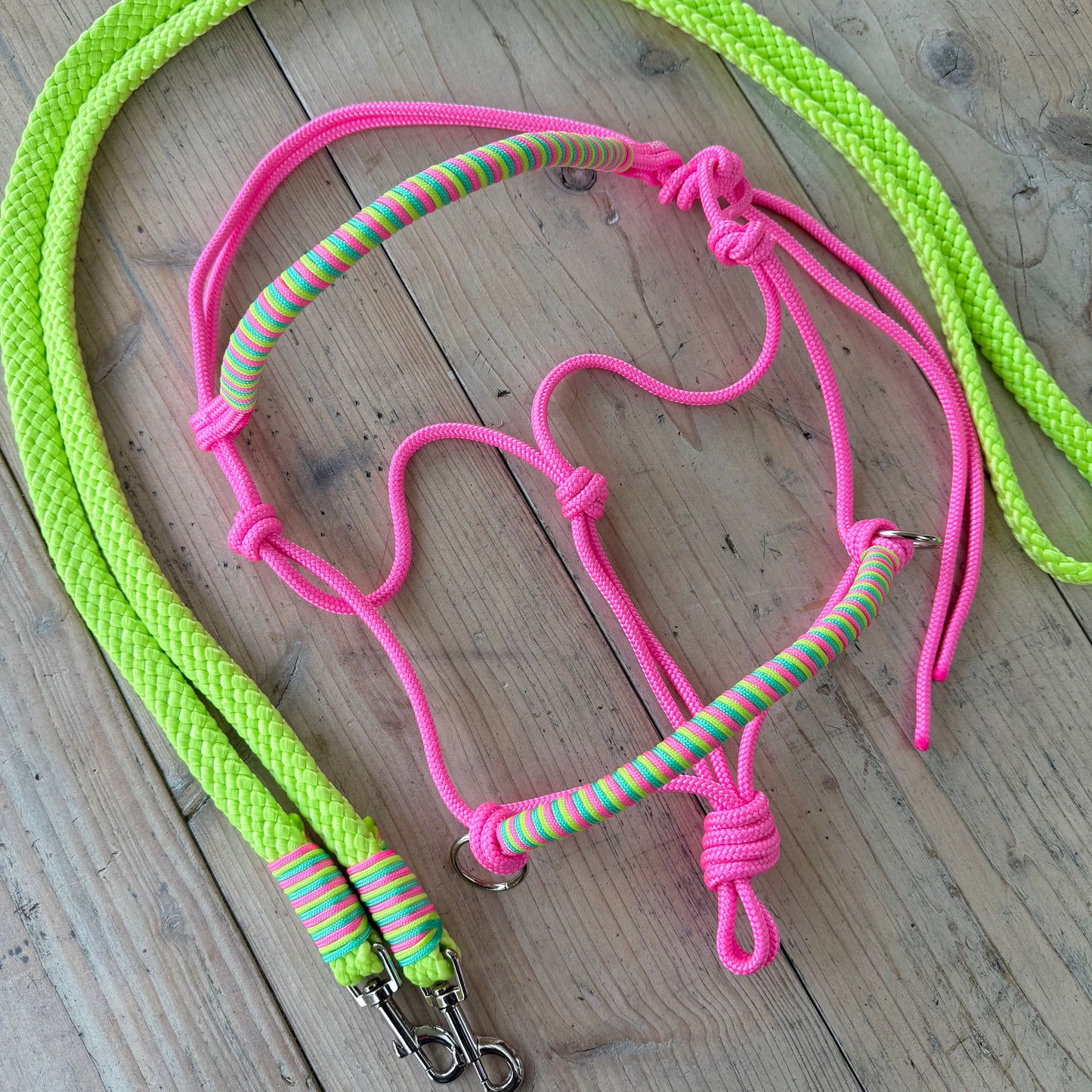 Horse Rope Shop - Rope halter set, riding halter + reins 'Pink Jungle' lime/pink