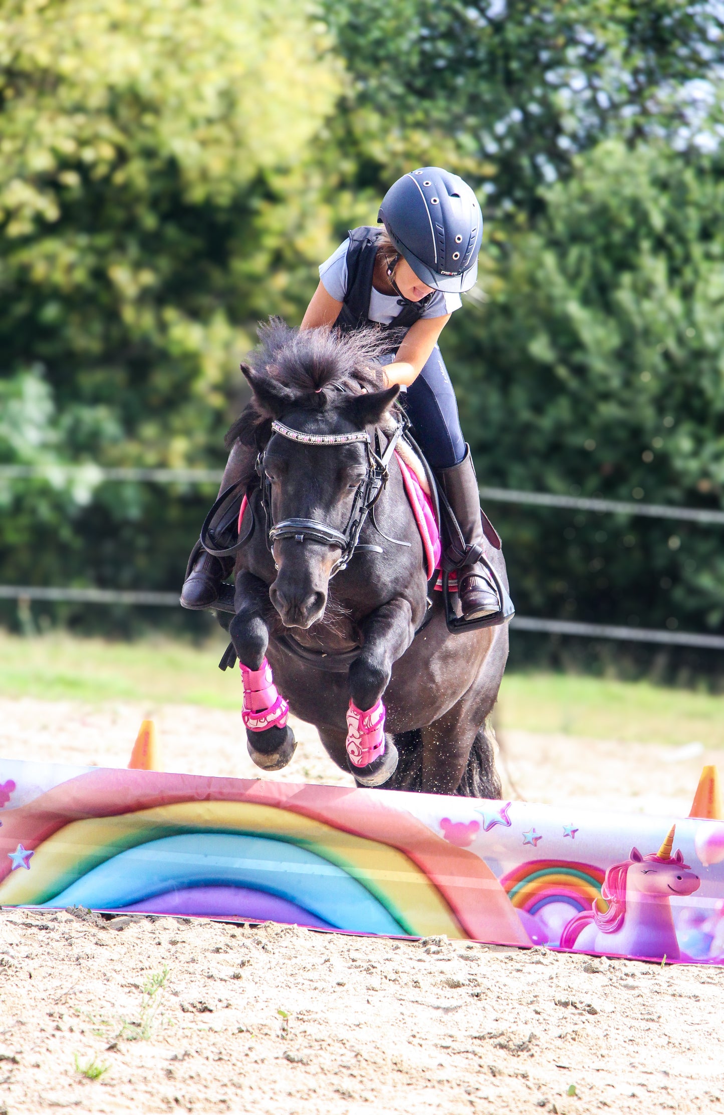 Jumpbanners - Hinderniszeil Bixie Unicorn Dreams