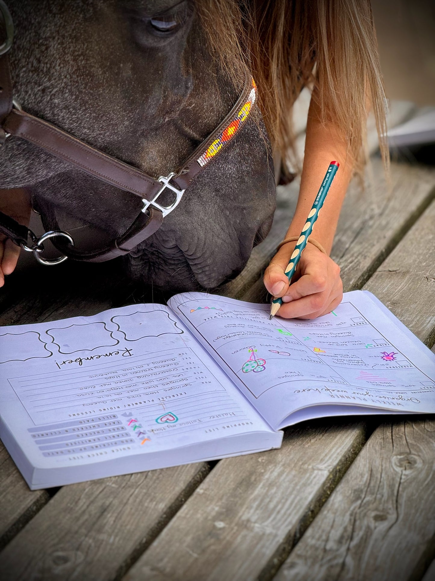 Pony Creative - Planner (EN)