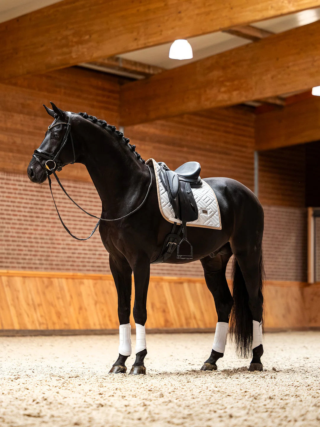 Equestrian Stockholm - SS26 Sable Blanc - Tapis de selle de dressage moderne dressuurzadeldek