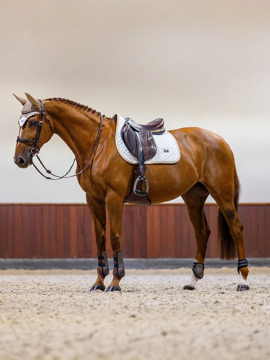 Equestrian Stockholm - SS26 Sand White - Jump Saddle Pad Moderne Springsatteldecke