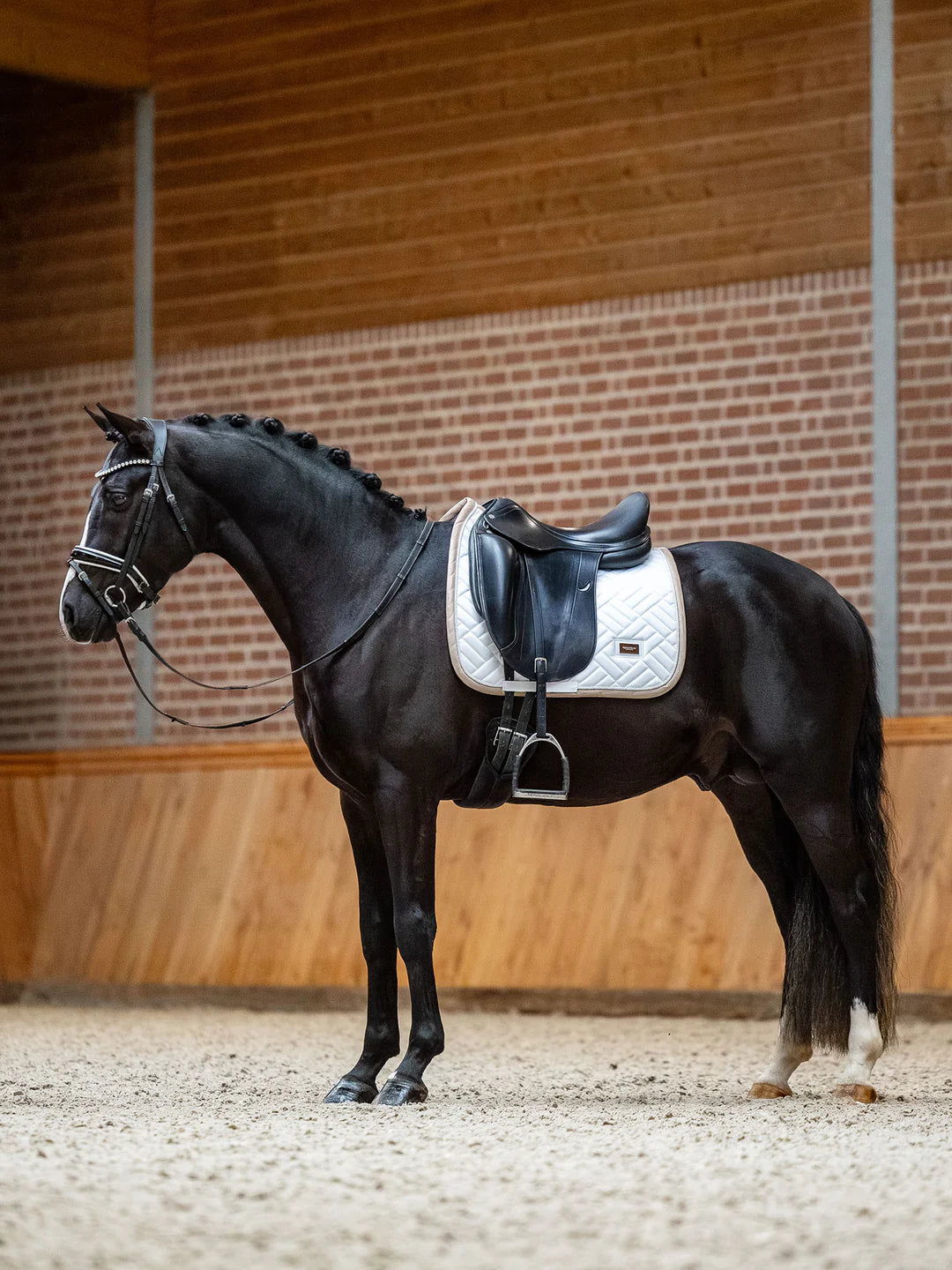 Equestrian Stockholm - SS26 Sable Blanc - Tapis de selle de dressage moderne dressuurzadeldek