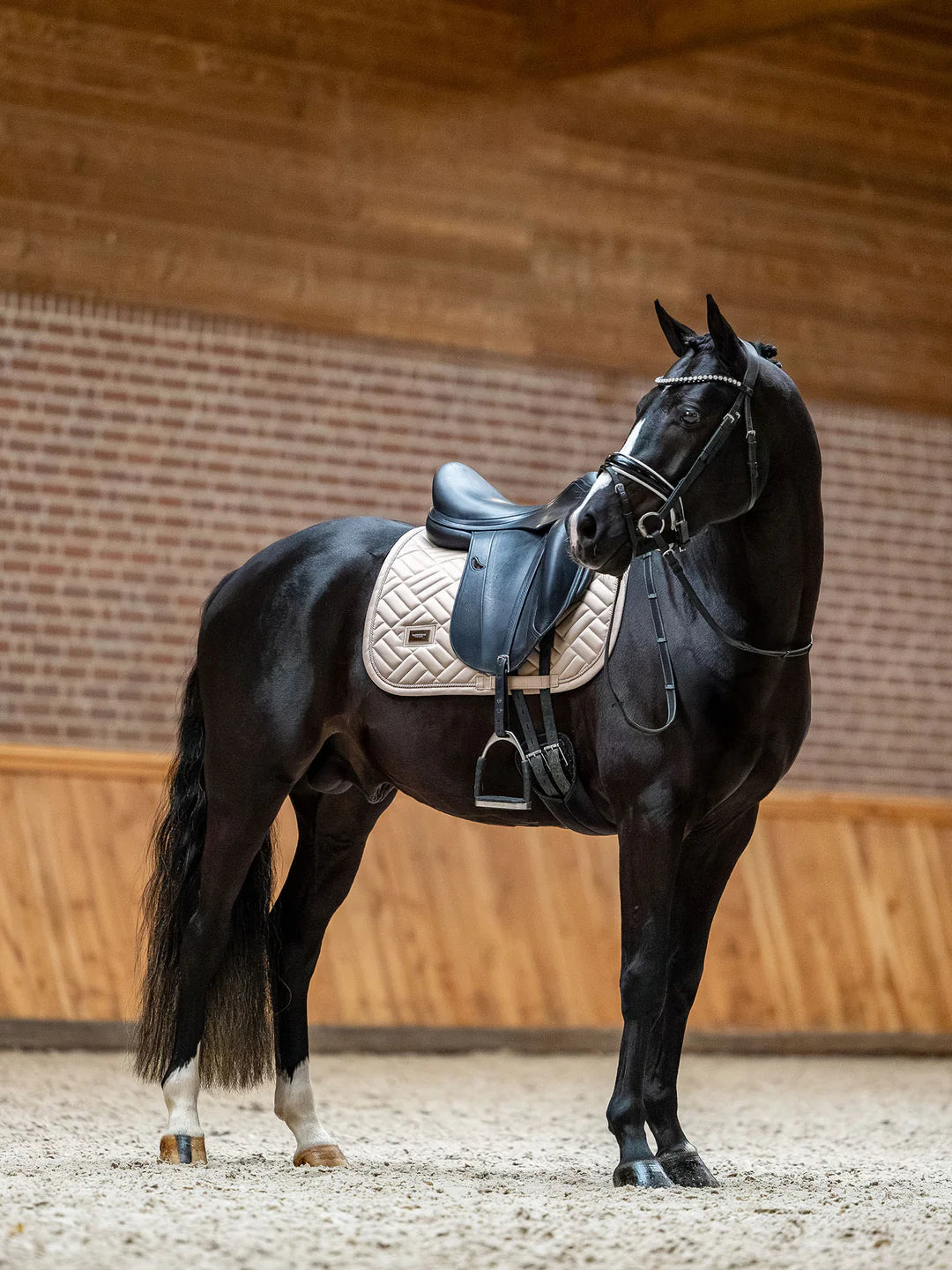 Equestrian Stockholm - SS26 Sable - Tapis de selle de dressage moderne dressuurzadeldek
