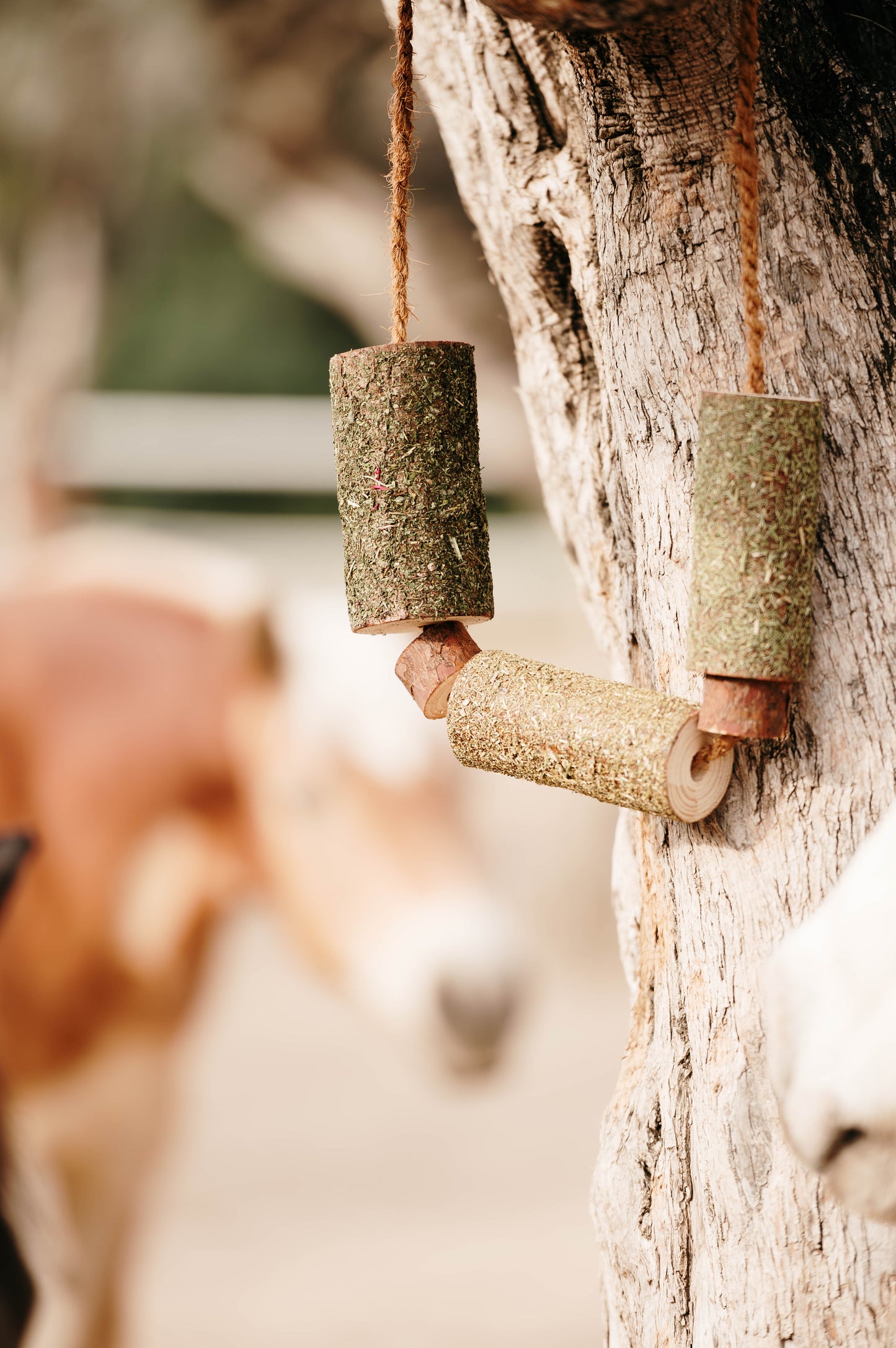 Herbi Horse - Houten speeltouw met kruiden (diverse)