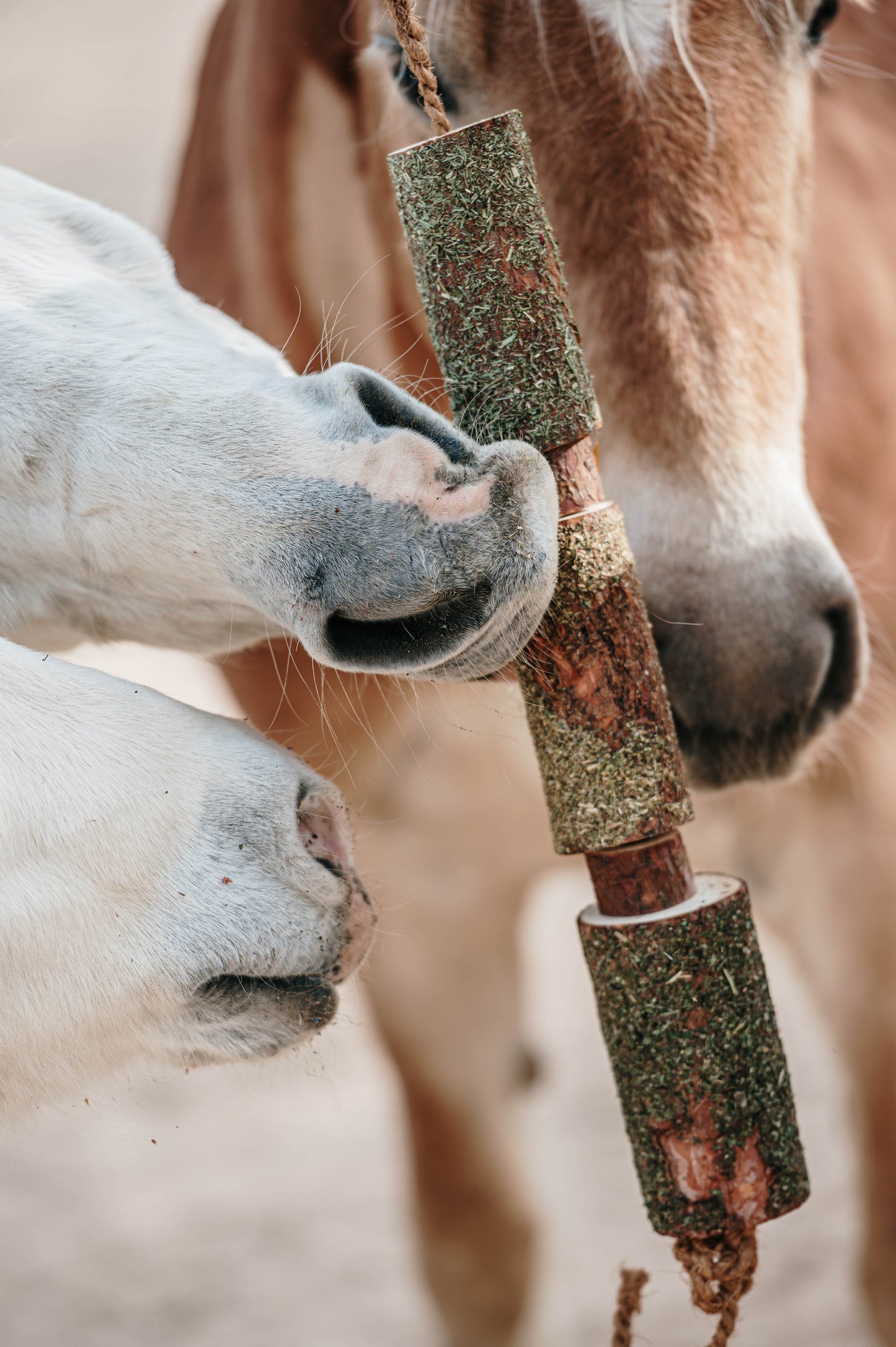 Herbi Horse - Houten speeltouw met kruiden (diverse)