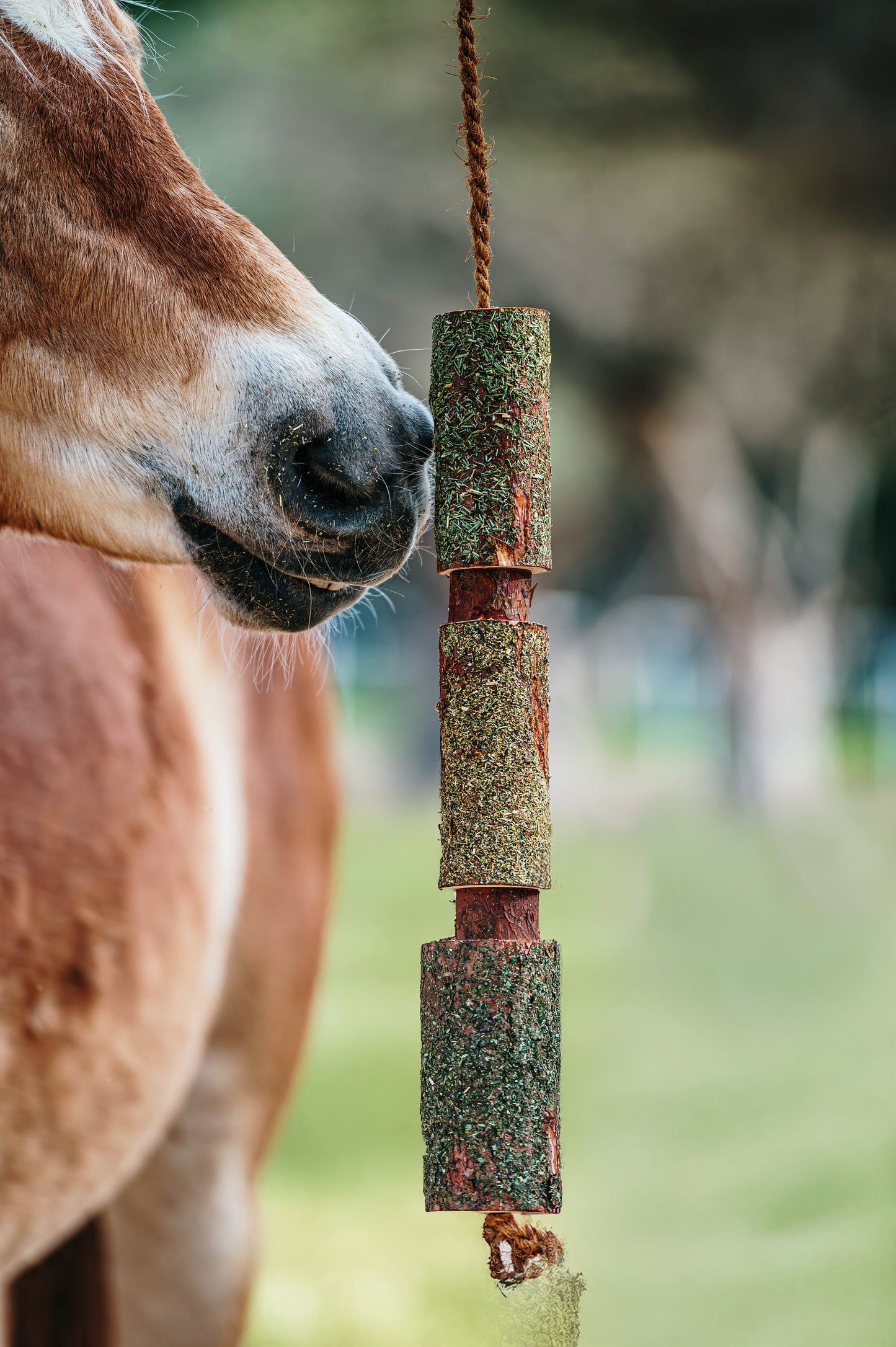 Herbi Horse - Houten speeltouw met kruiden (diverse)