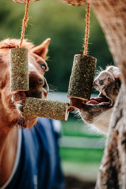 Herbi Horse - Holzspieltau mit Kräutern (verschiedene)