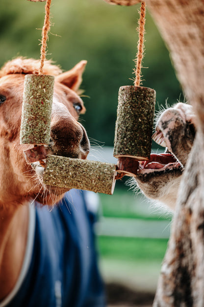 Herbi Horse - Holzspieltau mit Kräutern (verschiedene)