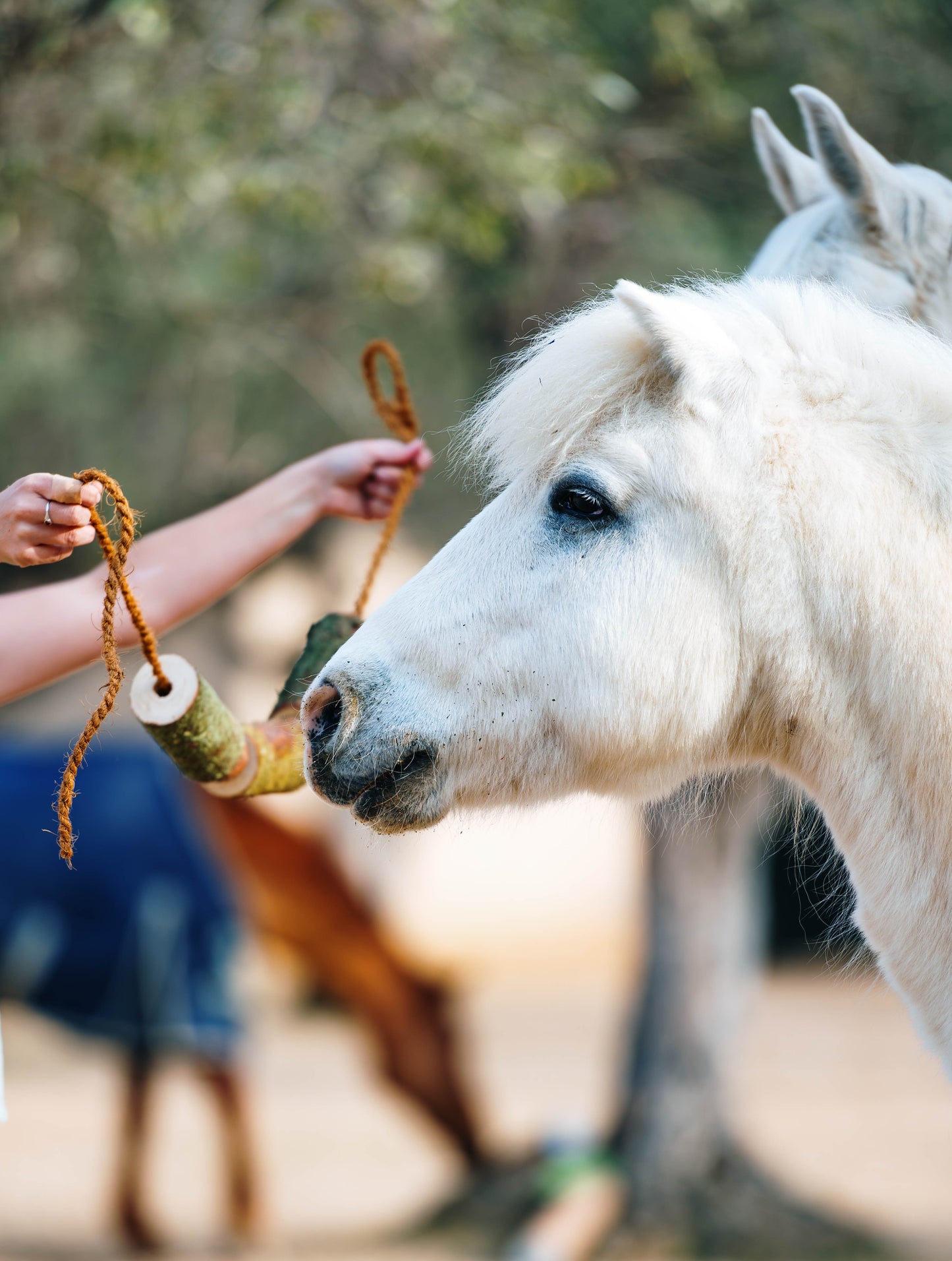 Herbi Horse - Houten speeltouw met kruiden (diverse)