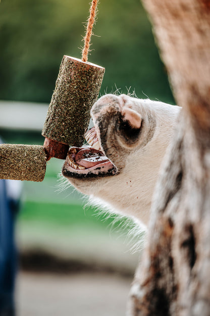 Herbi Horse - Holzspieltau mit Kräutern (verschiedene)