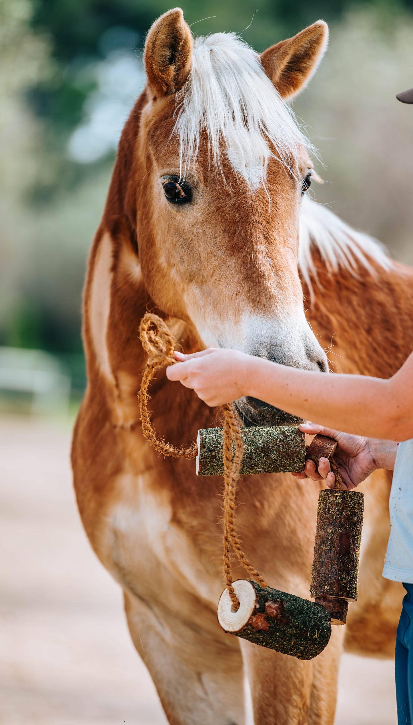 Herbi Horse - Houten speeltouw met kruiden (diverse)