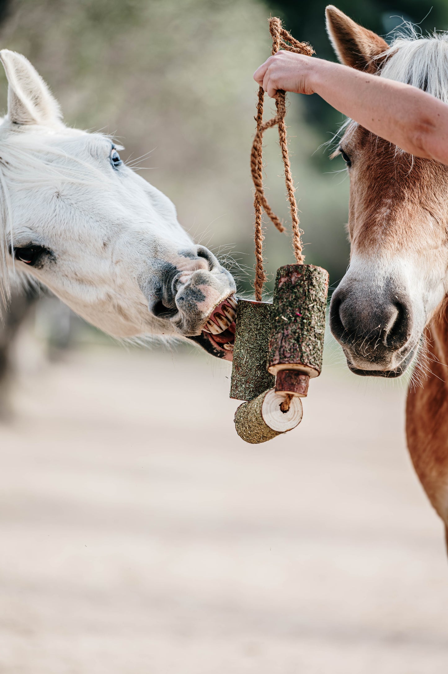Herbi Horse - Houten speeltouw met kruiden (diverse)