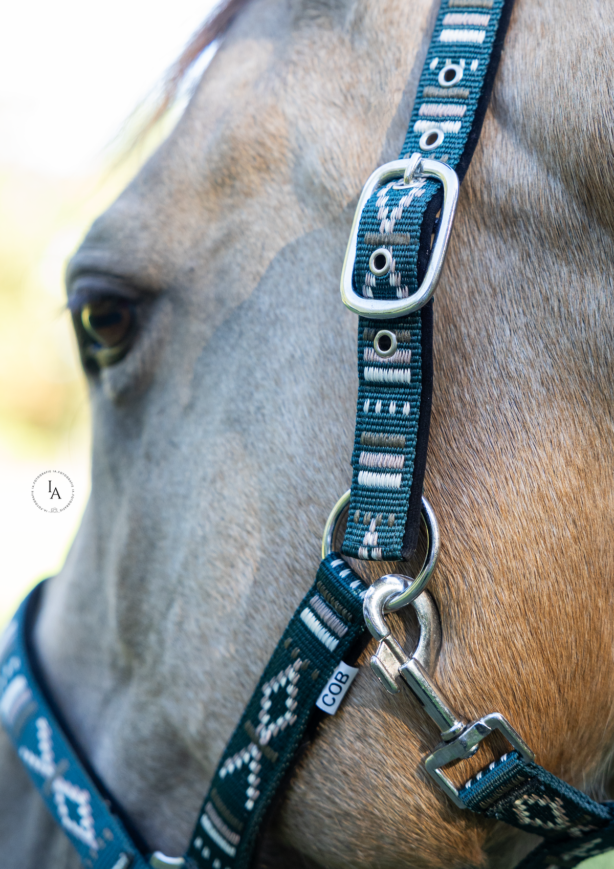 FMH - Geborduurd nylon halster met padding ‘Nomad Spirit Ranger’