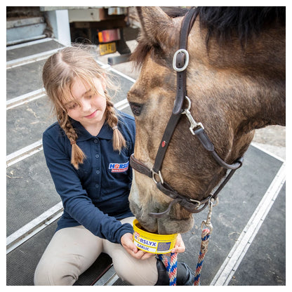 Horslyx - Leckstein Horslyx Mini