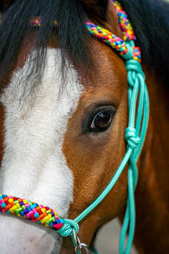 Horse Rope Shop - Rope halter set riding halter + reins 'Rainbow' mint