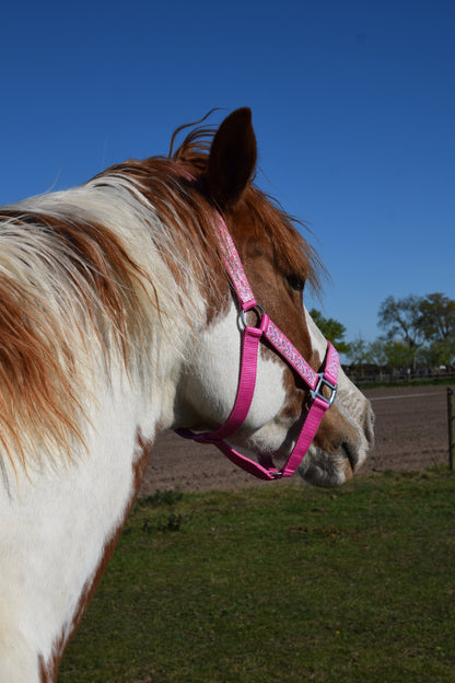 Happy Halsters x FMH - Pink Cowgirl Exclusive halter various colors