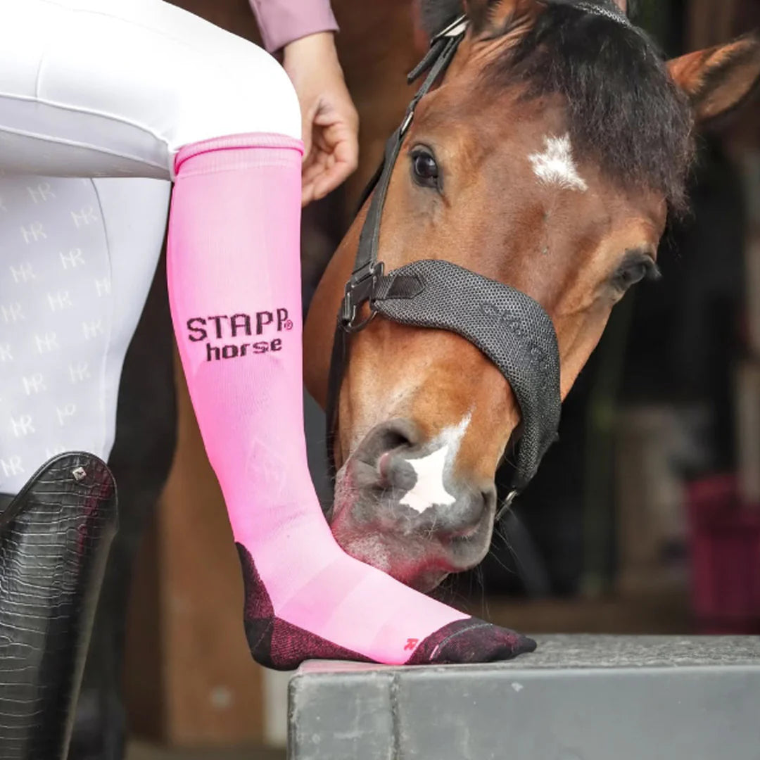 STAPP Horse - Paardrijsokken 33800 Deocell div. kleuren