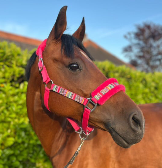 Happy Halsters x FMH - Colourful Panther Exclusive halster (bont) div. kleuren