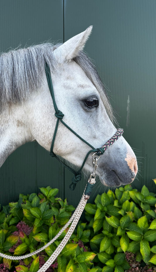 Rope halter sale - Rope halter set riding halter + reins 'In the Woods' dark green/beige