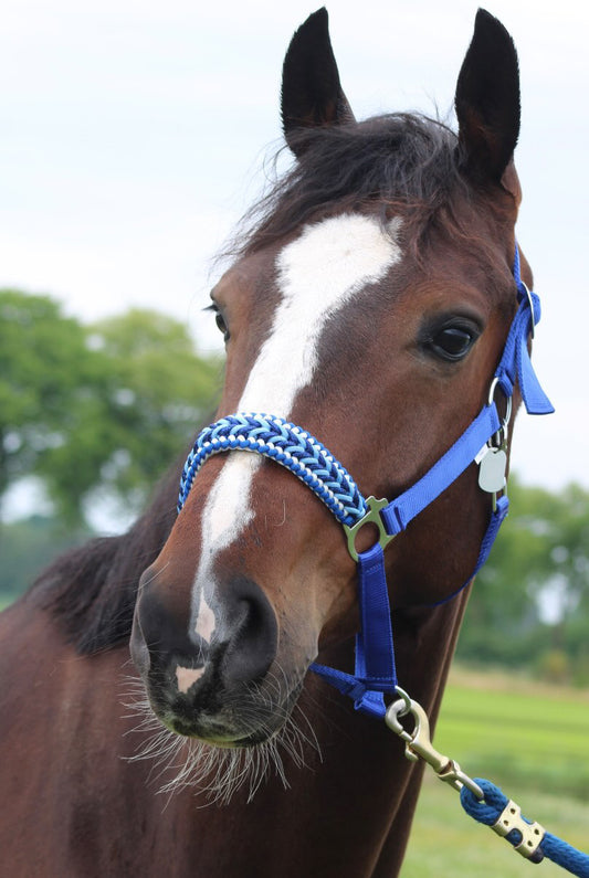Handgemaakte paardenhalsters - Geknoopt halster ‘Feeling Blue’ blauwmix