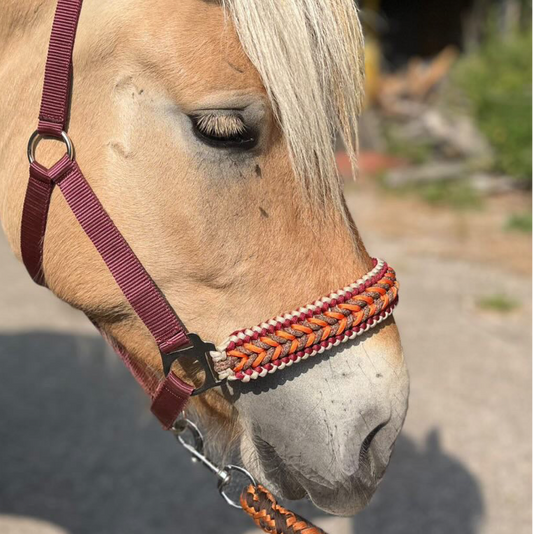 Handgemaakte paardenhalsters - Geknoopt halster ‘Pumpkin Spice’ Bordeaux/bruin/oranje