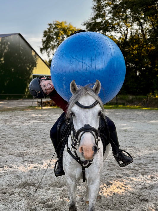 Horsemen's Pride - Jolly Mega Ball Play Ball, Blue, 30"/76cm