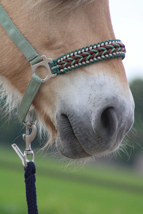 Design Your Own! - Handgemaakte Paardenhalsters - Eigen ontwerp halster