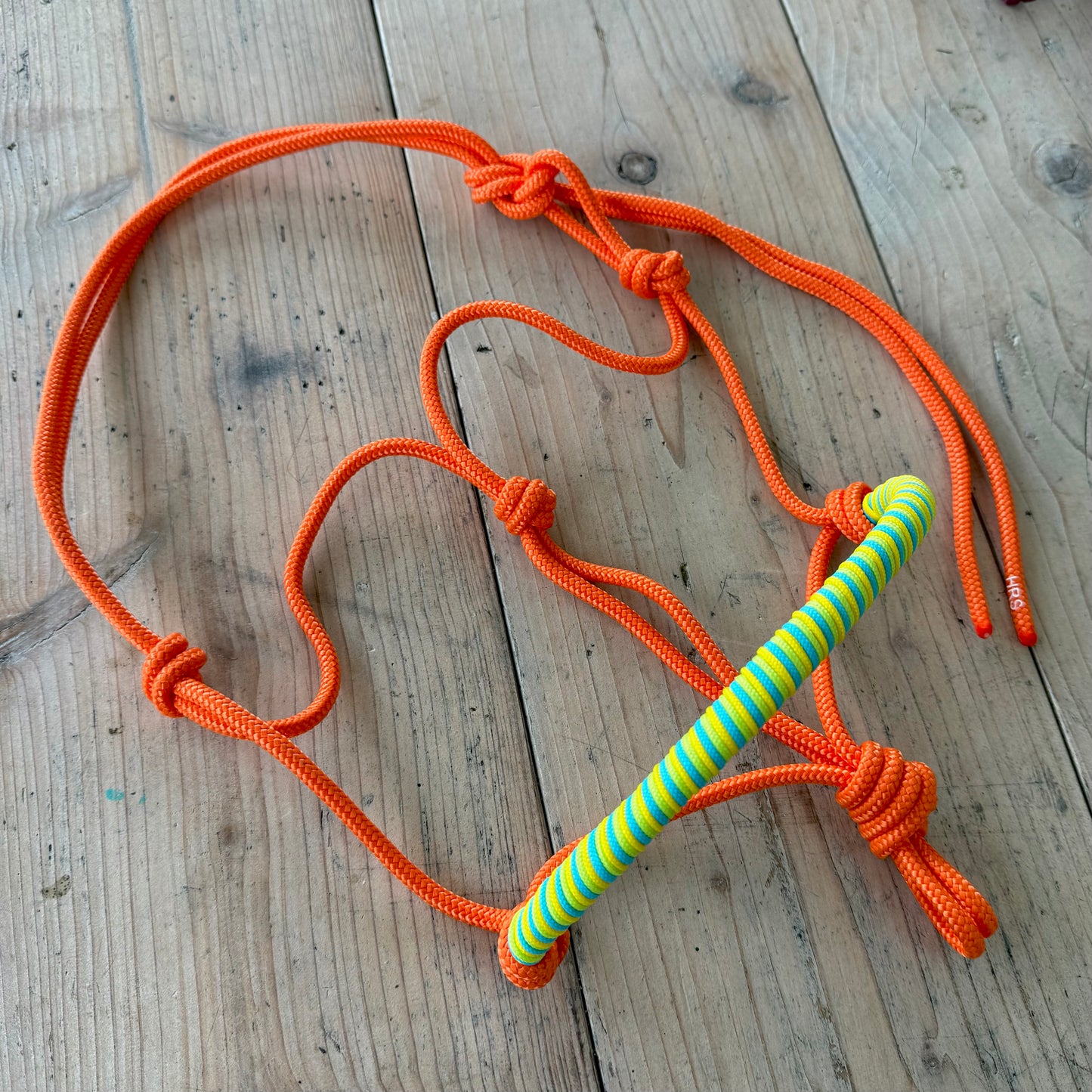 Horse Rope Shop - Nila 'Just Do It' rope halter, orange/green/yellow